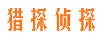 六安婚外情调查